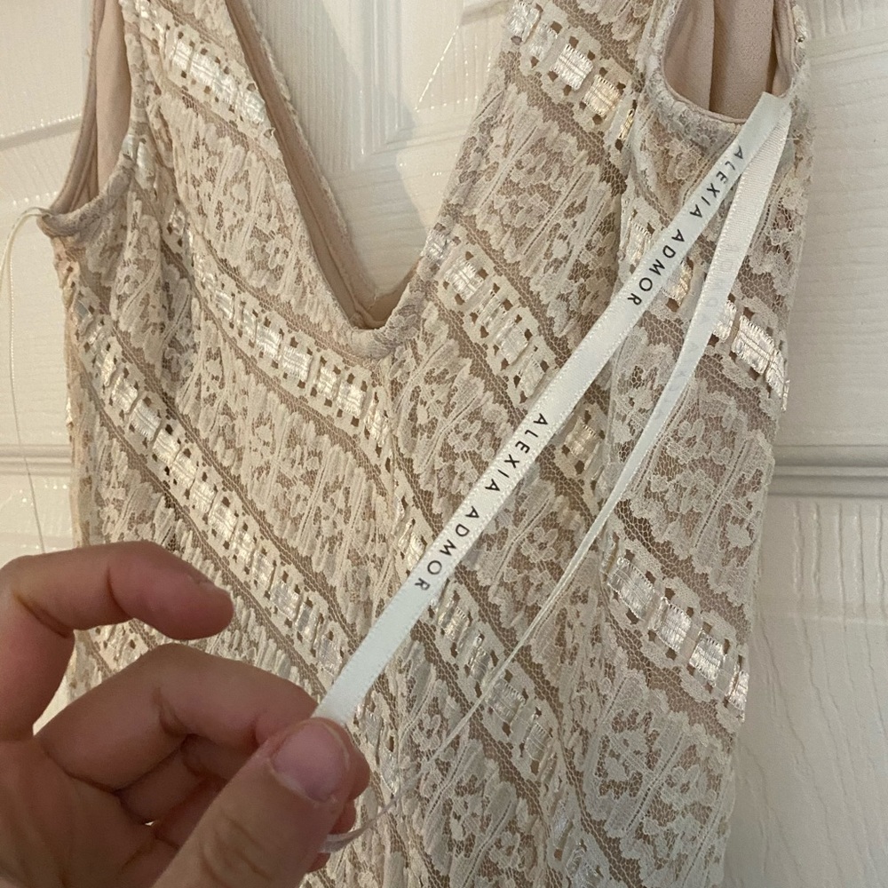 Alexia Admor Champagne Lace Dress